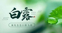 【二十四節(jié)氣灸】白露涼爽，養(yǎng)心肝脾胃、滋陰潤肺是關(guān)鍵！