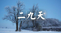 【三九養(yǎng)生】冬二九，扶陽(yáng)補(bǔ)腎氣，讓你陽(yáng)氣充足一整年！