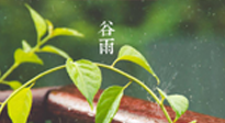 【二十四節(jié)氣灸】谷雨節(jié)氣脾土濕，艾灸降濕濁，脾旺不受邪！